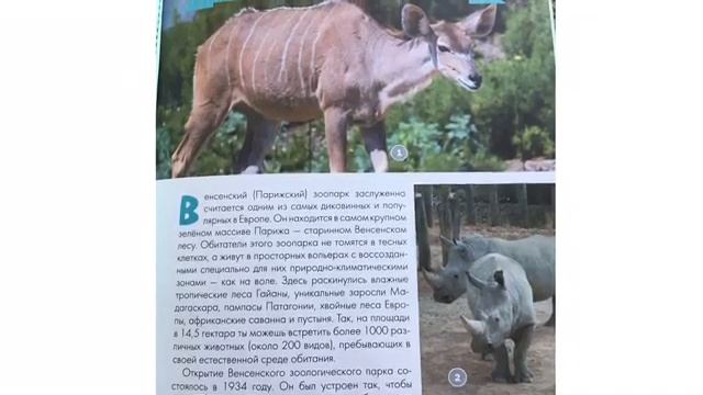 Онлайн-студия совместного чтения «БиблиоДетка» смотреть онлайн