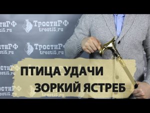 Трость прогулочная “Зоркий ястреб” (Разбор)