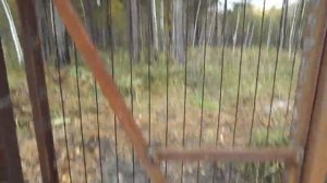 Калитка в заборе. 2 часть.