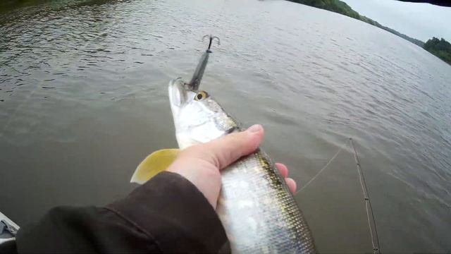 Рыбалка на р. Чепца. Рыбалка с братом смотреть онлайн
