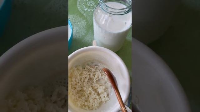 Сметана из молочного гриба