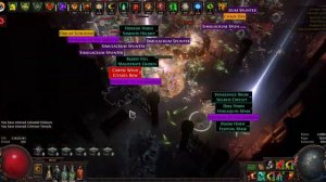 100% deli vaal venom gyre scion (POE 3.20)