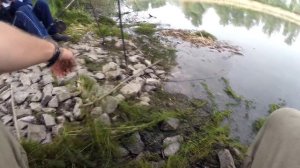 Ловля КРУПНОГО КАРАСЯ на Флэт Фидер