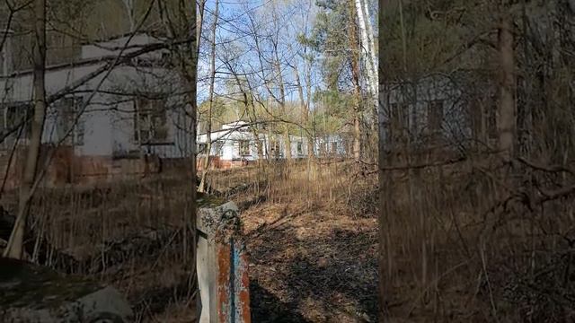 Заброшенный пионерский лагерь в национальном парке Лосиный остров. Москва. 7.05.2022