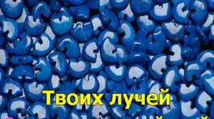 караоке гори гори моя звезда dan