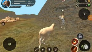 привет ребята! это симулятор гепарда игра онлайн