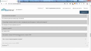 ICO EcoVerse ответы на вопросы