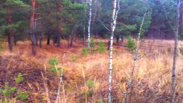 Военные находки металлоискателем Пират смотреть онлайн