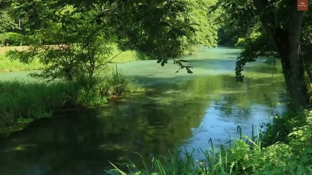 Зеркало Осознанности