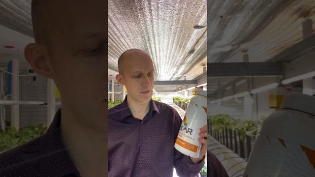 Клубника по технологии полной светокультуры на малообъёмной гидропонике в условиях сити-фермы смотреть онлайн