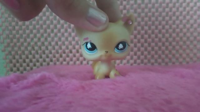 Новая рубрика украинские сказки на ночь!! Смотреть всем!!! смотреть онлайн