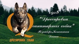 1918 Дрессировка собак. Розенборг (Копенгаген, Дания).