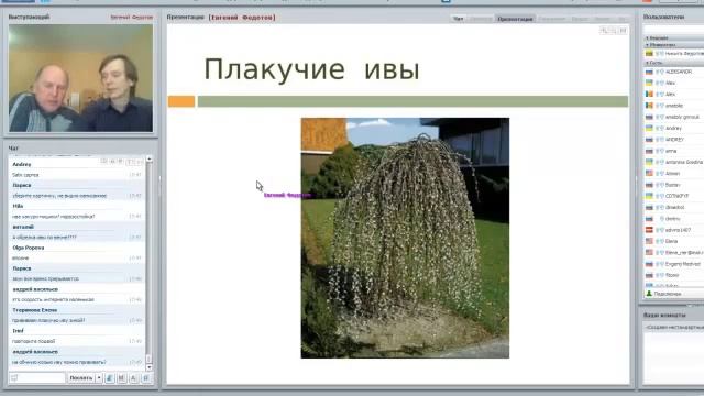Как выращивать штамбовые формы смородины, лещины и других смотреть онлайн