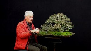 SandevBonsai - 2018. Бонсай сессия с Уолтером Поллом / Часть 1