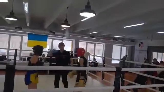 vid 838045771 WP 20180303 15 39 41 Pro смотреть онлайн