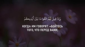 Сура 36 «Йа Син» - Мухаммад Тарик