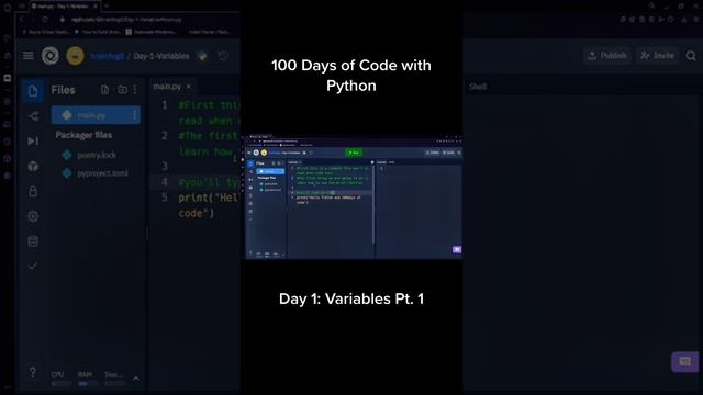 100 Days of Python - Day 1: Variables