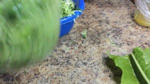 Огурцы в собственном соку. Самый необычный рецепт огурцов.  ВНИМАНИЕ СУПЕР РЕЦЕПТ. ЭТО ОЧЕНЬ ВКУСНО