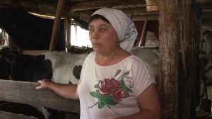 Крестьянско-фермерское хозяйство