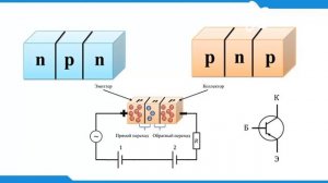 Электроника пәні. Тақырыбы: Транзистор құрылымы