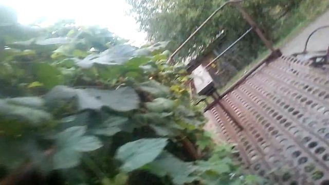 Пинаем мяч в ворота 1-я часть следуйщая 2-я часть смотреть онлайн