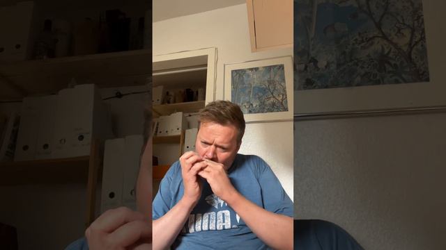 Wave - for Suzuki chromatic and chord harmonica (07-09-2022) смотреть онлайн