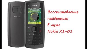 Восстановление найденного в луже телефона.