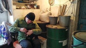 Лечим гребень петуха