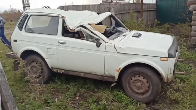 Съездили по грибочки)) Дерево устало стоять вертикально)) смотреть онлайн