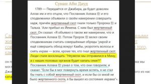 Диспут с мусульманами. Мухаммед раздевался под дождем и одобрял зоофилию