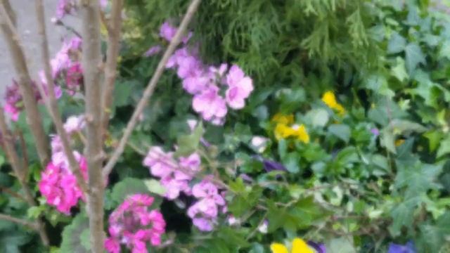 Самое популярное место у москвичей - Большая барахолка на Гоголевском бульваре!!! Антиквариат. смотреть онлайн