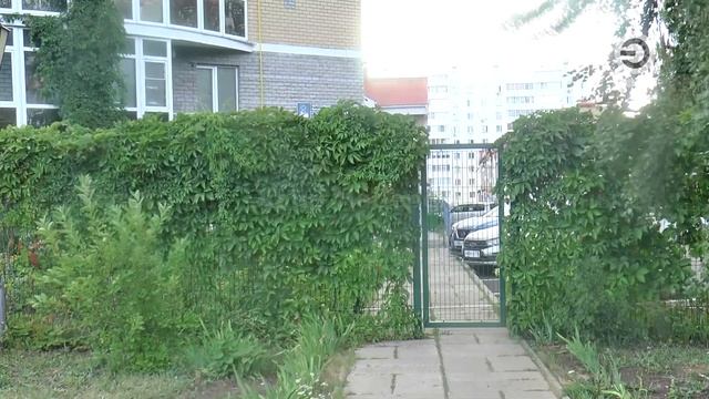 "Город" 28.07.2021 Настоящий сад под окнами высотки разбили жители дома 46/10 B. смотреть онлайн