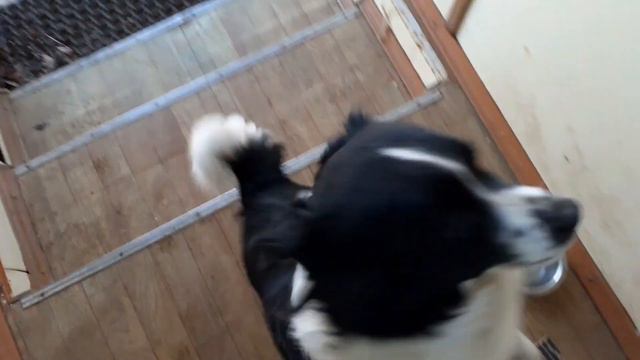 Дар наказан смотреть онлайн