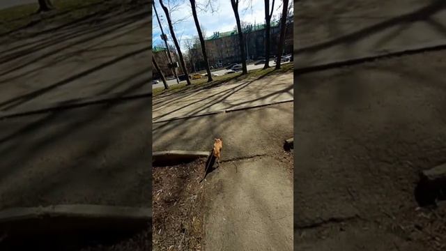 Актив увеличивается. Скоро поправлю здоровье и опять прибавим пробежки