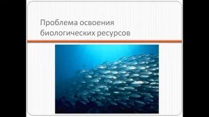 Проблемы Мирового океана