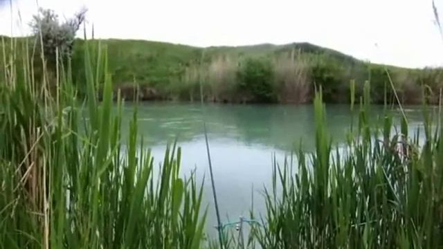 Почему нет клева , от Пал Палыча 22 05 17 смотреть онлайн