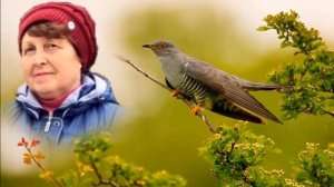 Мой фильм   Сколько бы кукушка ты не куковала все равно мне будет мало