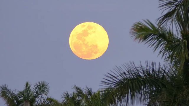 Polish 78rpm recordings, 1947. H-1164. Przyjazd do Ameryki - oberek / Vermont polka. Walter Solek смотреть онлайн