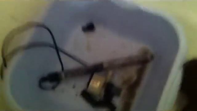 Аквариумистика для любителей. Полная чистка аквариума. смотреть онлайн