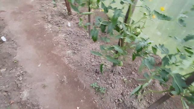 Кто на даче отдыхает?Я -нет. смотреть онлайн