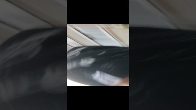 прятки