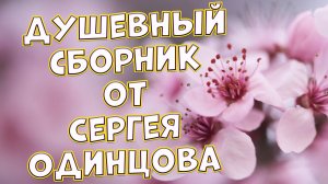 Сборник от Сергея Одинцова