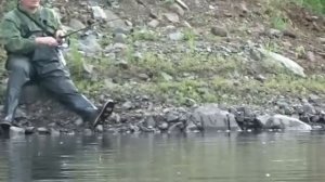 Рыбалка на р. Томь за ВоДоЗАБоРоМ
