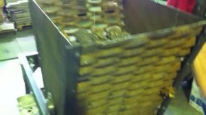 Переработка кедровой шишки, добыча кедрового ореха.