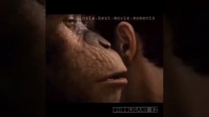 Планета обезьян - Прикол