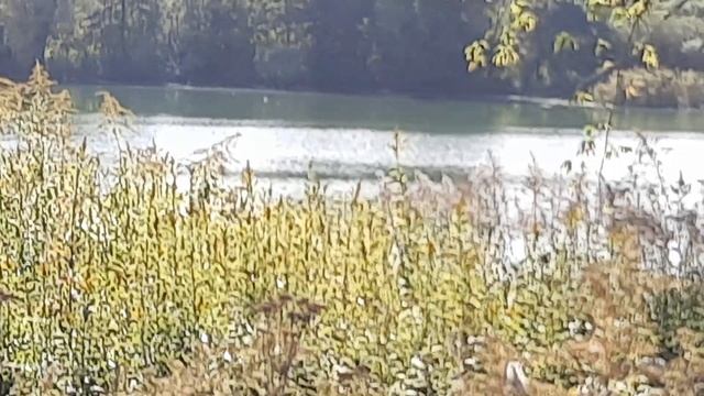 VLOG:КОСМА(ПОСЁЛОК АЛЕКСАНДРА КОСМОДЕМЬЯНСКОГО)/ПРОГУЛКА ОТ КОСМЫ ВДОЛЬ БЖД ДО БРУСНИЧНОЙ 4К 2021 смотреть онлайн