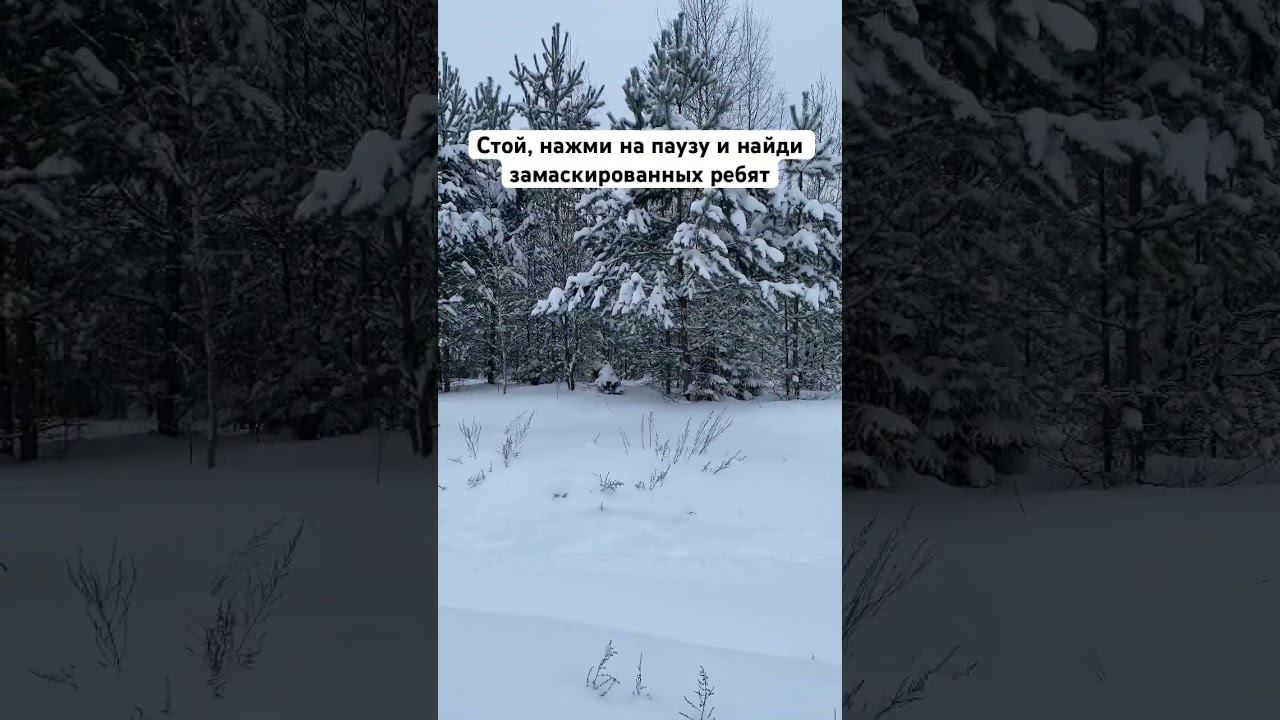 Найди замаскированных | Часть 5 #airsoft #fake #replica смотреть онлайн