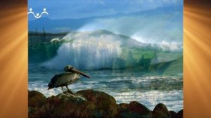 Доброе Слово. Евангелие. Бог есть любовь