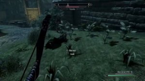 Skyrim - Pathetic Vampire Encounter