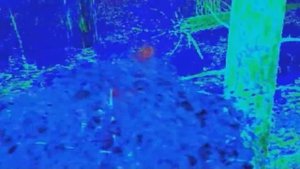 Venom. Codename: Outbreak - Intro